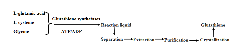 Processus de production de glutathion